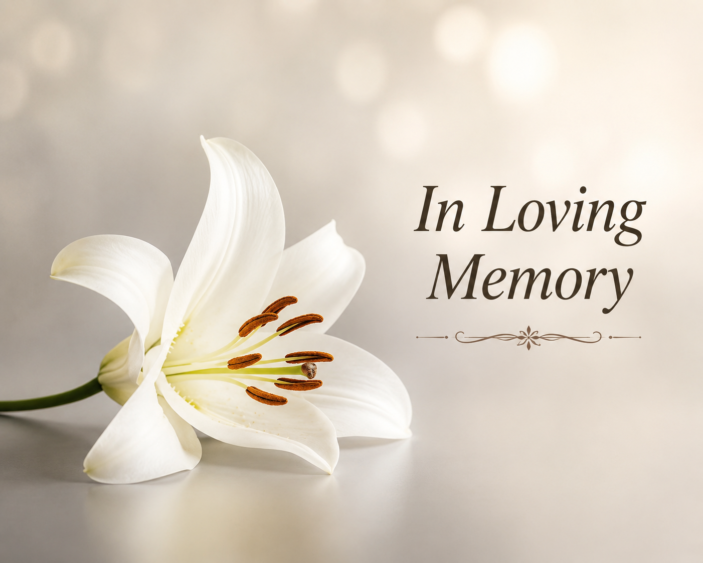 Emily Baker Car Accident Ohio Death, Obituary: In Loving Memory